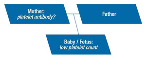 genetic testing diagram